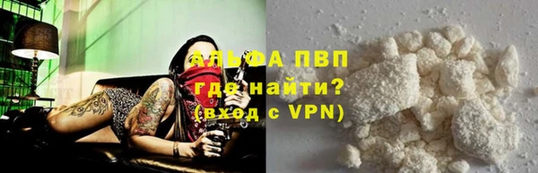 сатива Ростов