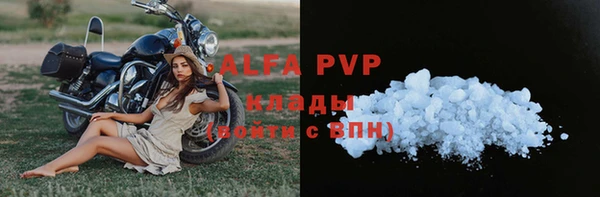 сатива Ростов