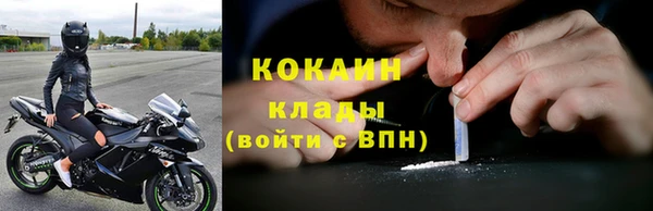сатива Ростов