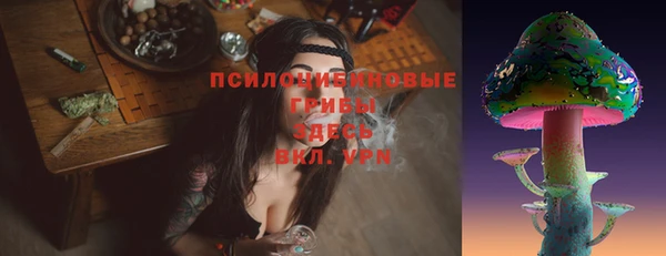 сатива Ростов