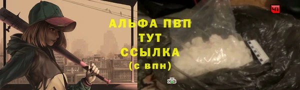 сатива Ростов