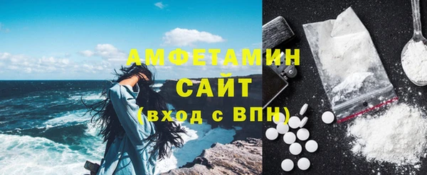 сатива Ростов
