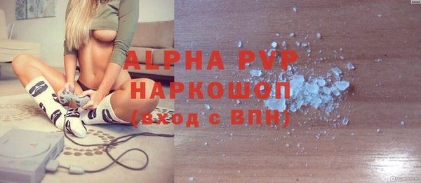 сатива Ростов