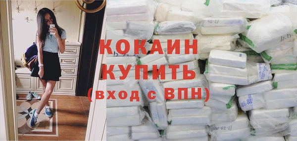 сатива Ростов
