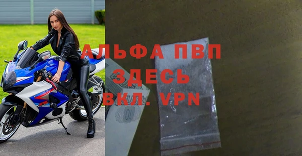 сатива Ростов